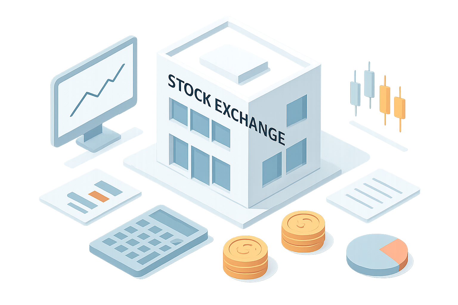 VECTOR CASA DE BOLSA